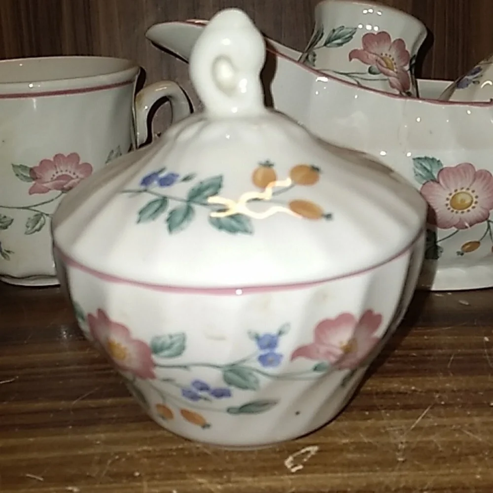 Churchill England Briar Rose creamer sugar salt pepper gravy boat cups